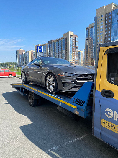 Авто мустанг из г. Москва в г. Челябинск